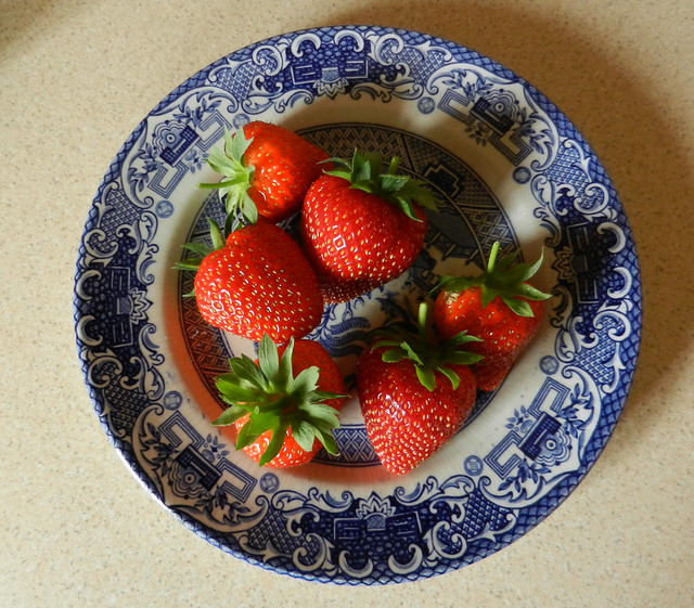 DSCN7384 Early Strawberries Vibrant