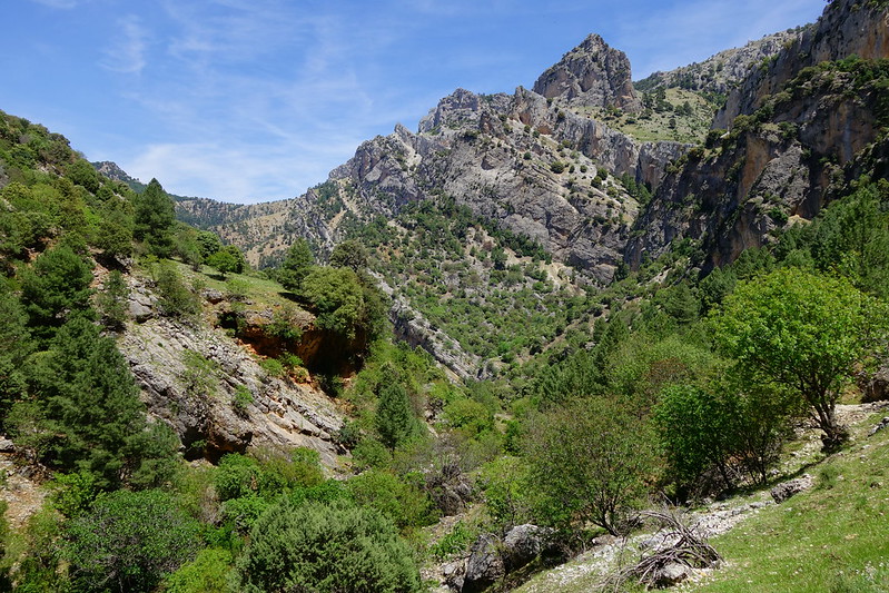 Sierras de Cazorla, Segura y las Villas, Jaén (3). Ruta río Borosa (a pie). - Recorriendo Andalucía. (35)