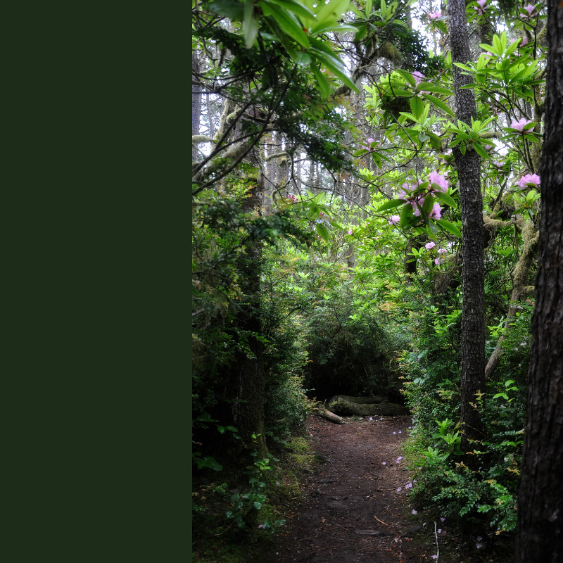 Hobbit Trail Return @ Mt. Hope Chronicles