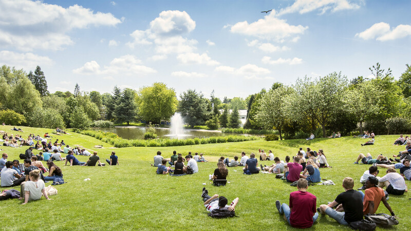 学生们坐在巴斯大学Claverton Down校区的湖边。188bet金宝搏app下载