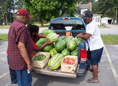 Watermelon in the back of a truck