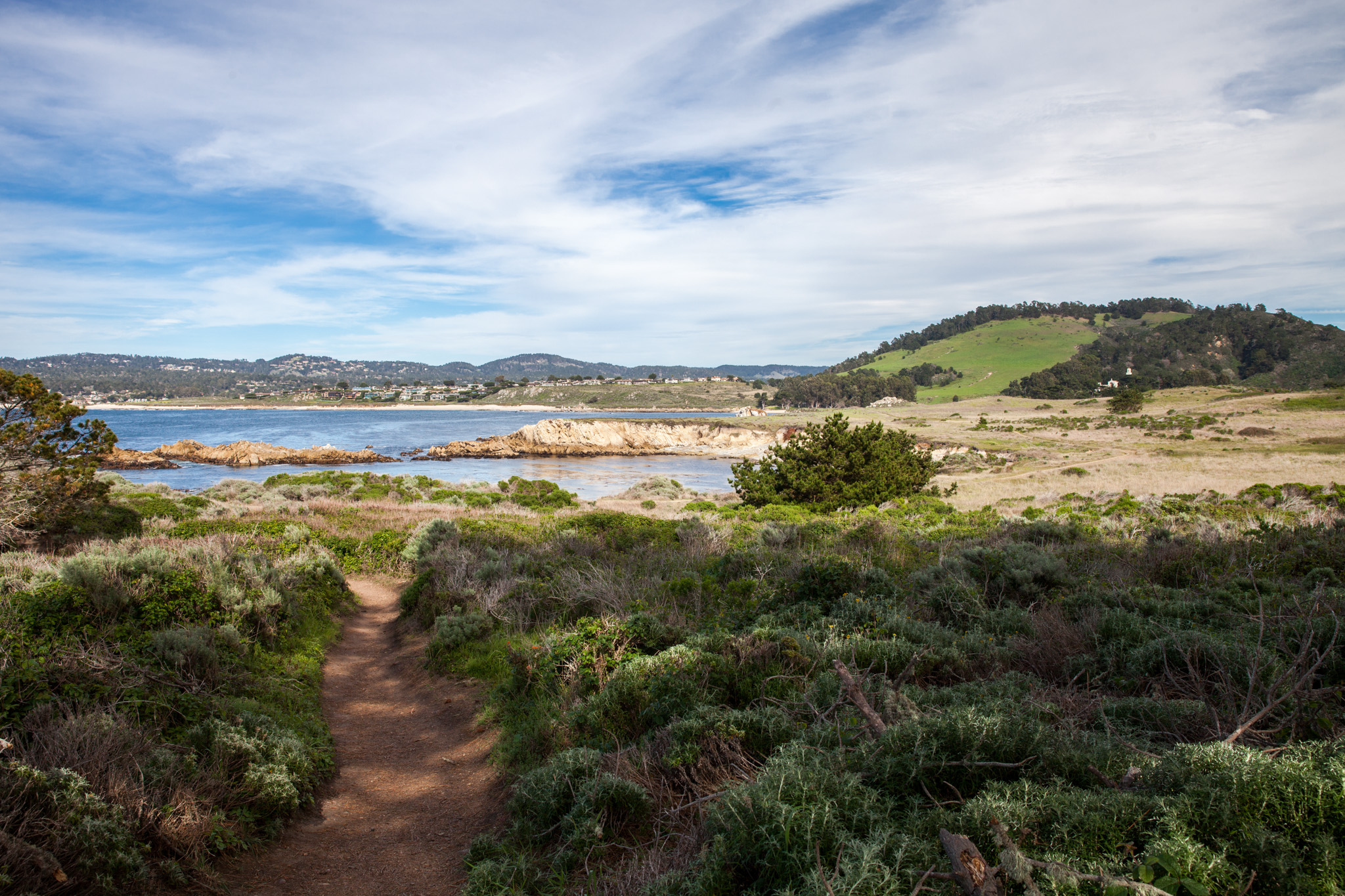 Point Lobos, by Virginia Mae Rollison