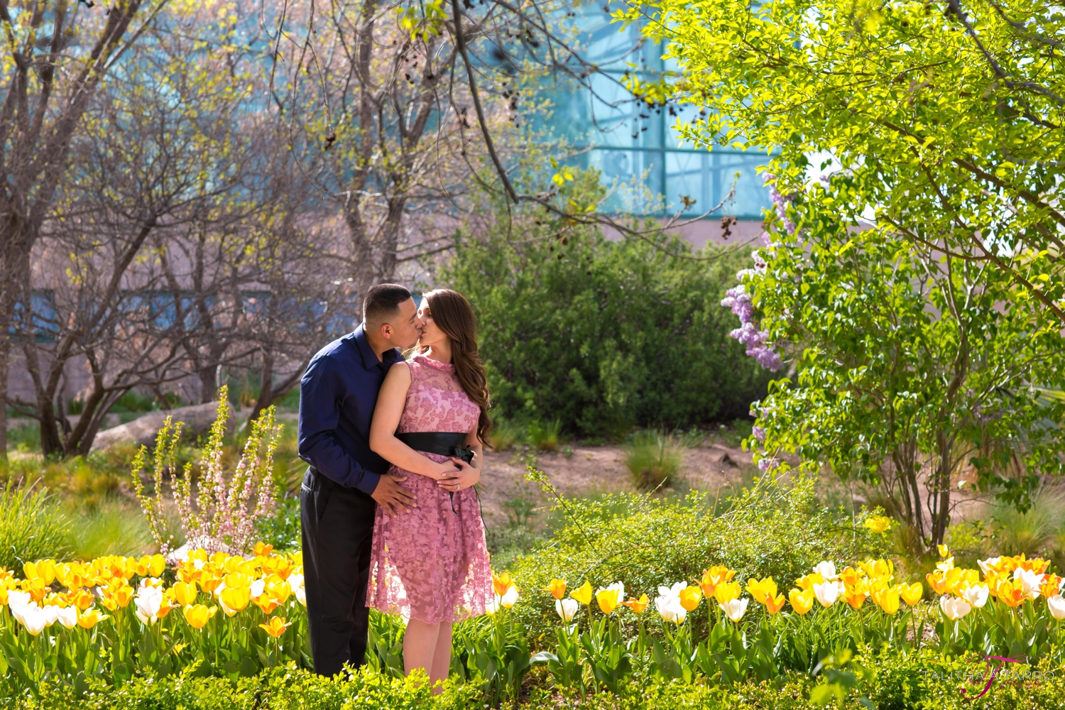 Spring Engagement in Albuquerque