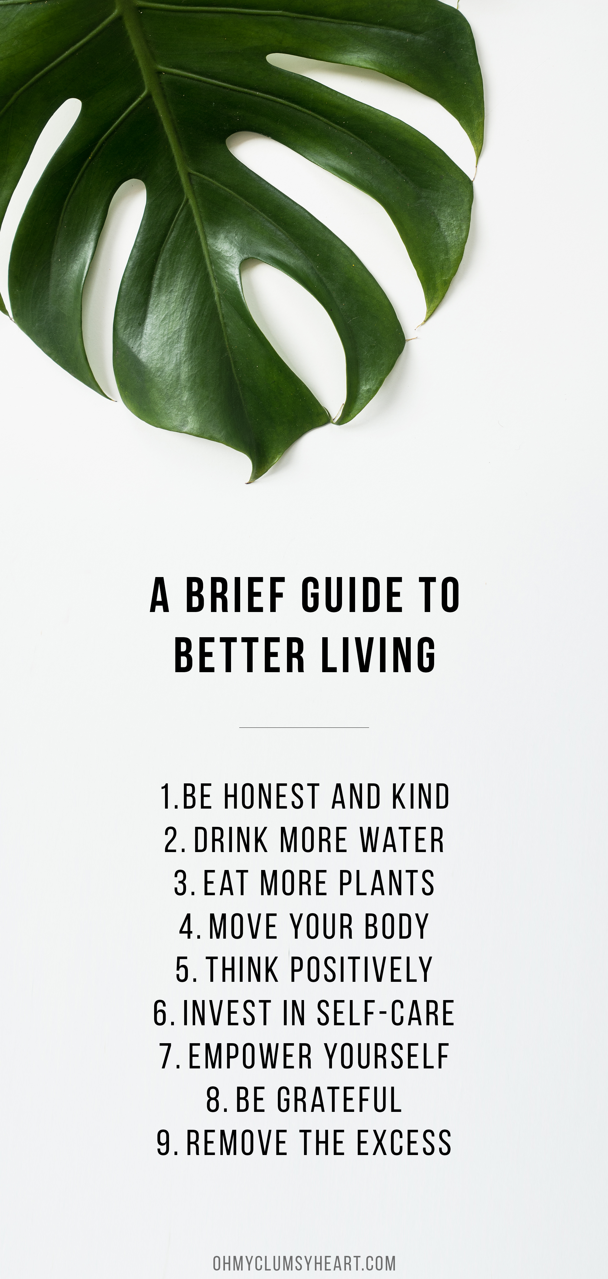 A Brief Guide To Better Living