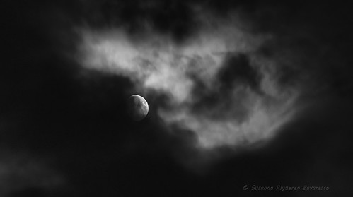 Clouds dancing in the moonlight