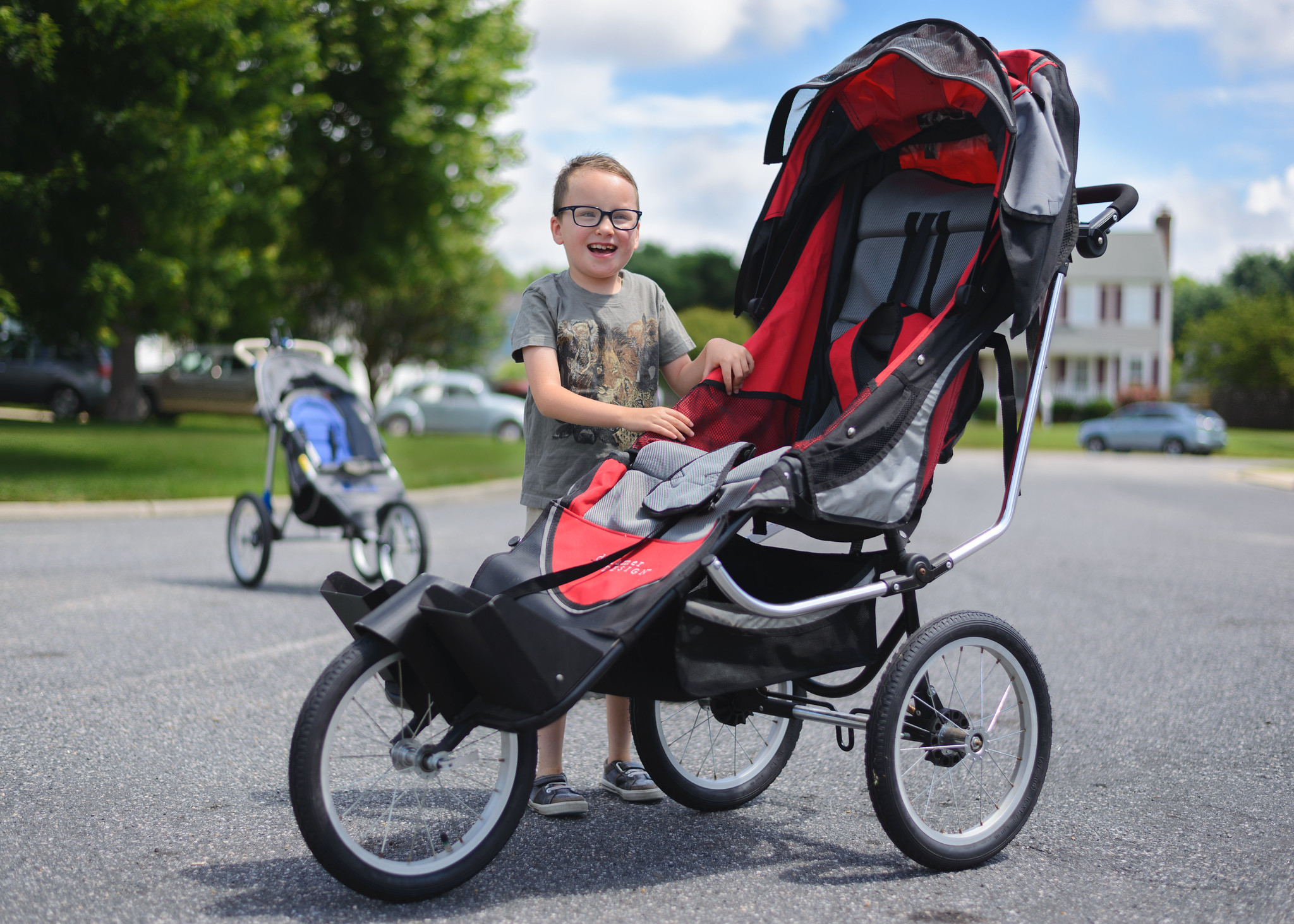 Dreamer design store special needs stroller