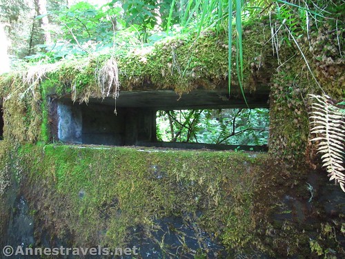 Moss-covered ventilation port on the bunker atop Tillamook Head in Ecola State Park, Oregon