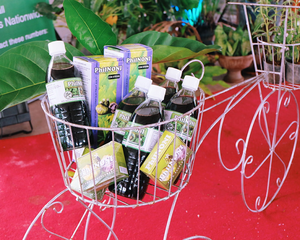 The Health Benefits of PhilNoni Juice Drink + Stevia Farm Tour 