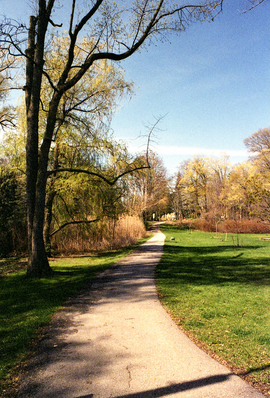Path Across Pinewood Park