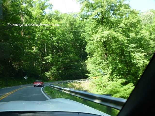 Devil's Whip Drive at From My Carolina Home