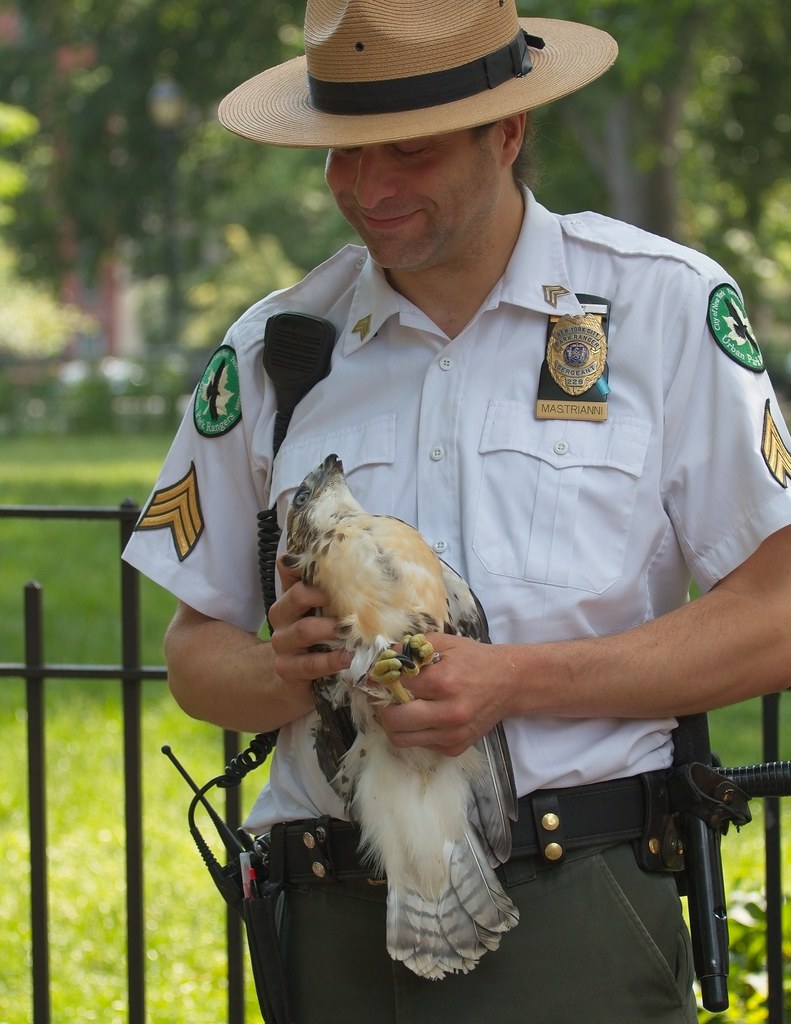 Hawk adoption in Tompkins Square