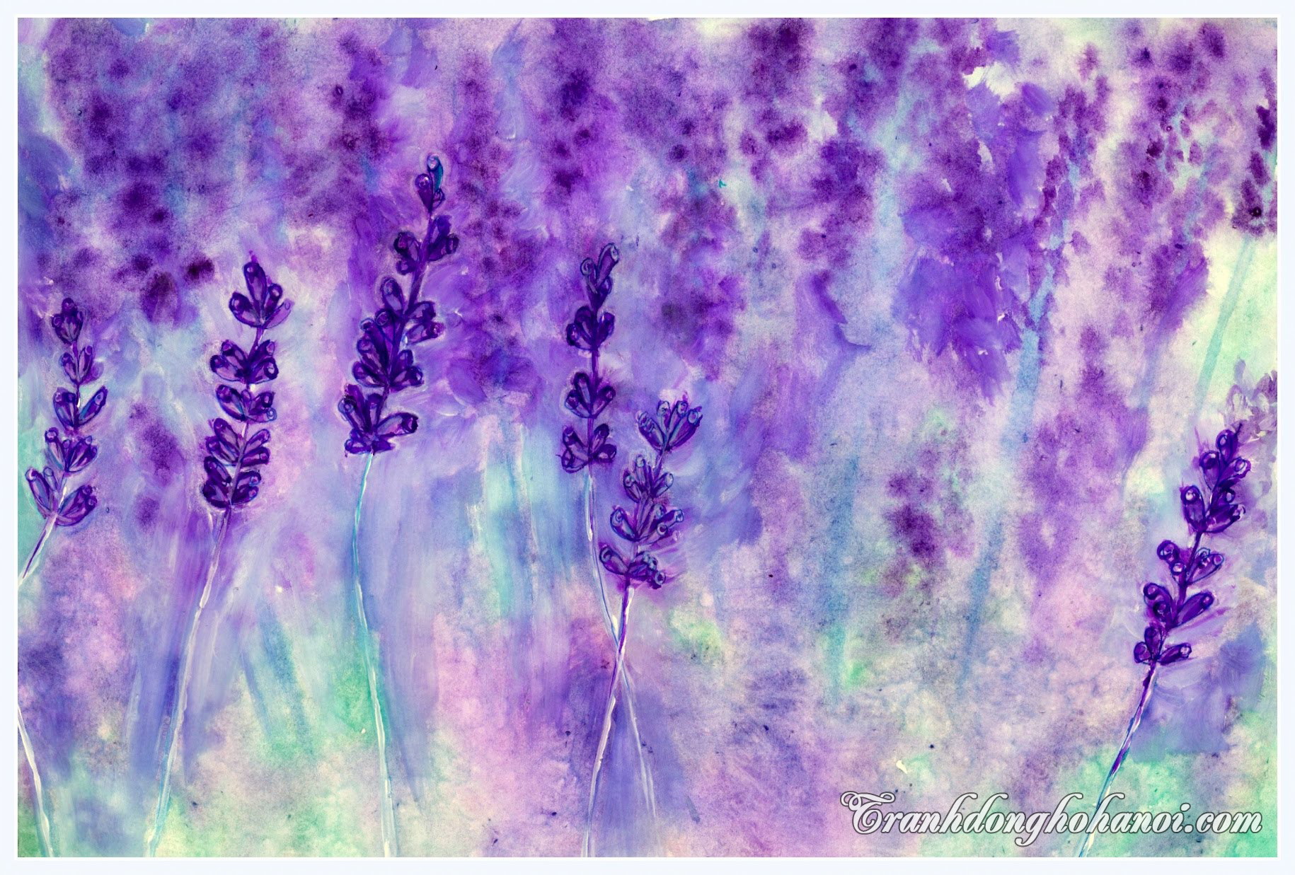 Hinh anh tranh ve hoa oai huong lavender mau tim biec tuyet dep
