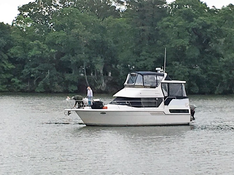 Chesapeake Bay Loopers