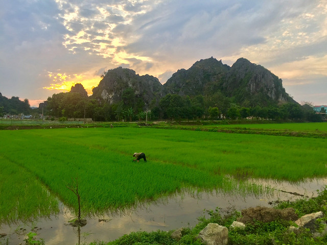 VIETNAM, DONDE LOS DRAGONES EXISTEN - Blogs de Vietnam - NINH BINH (1)