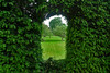 London - Hampton Court Palace privvy garden