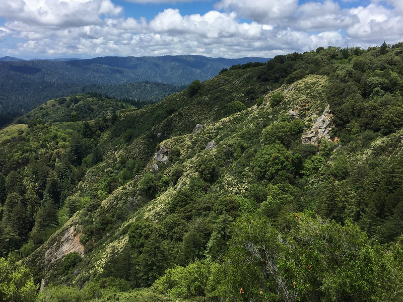 Panoramic View of the Santa Cruz Mountains
