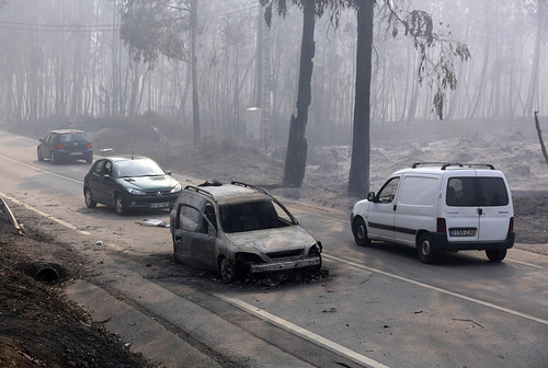 Portugal Forest Fires