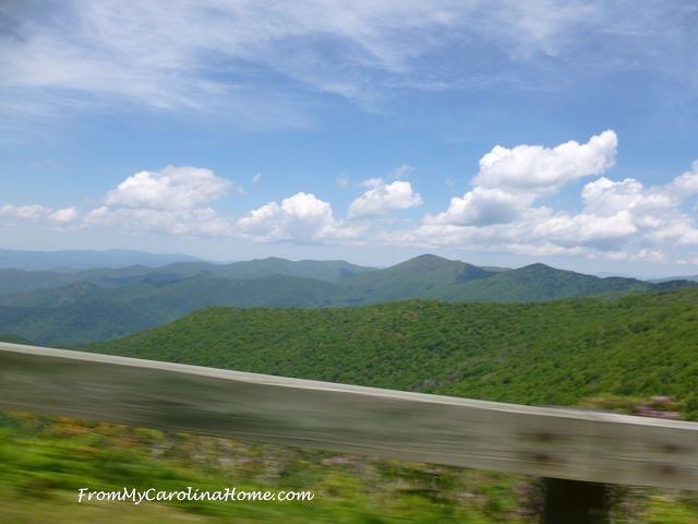 Devil's Whip Drive at From My Carolina Home