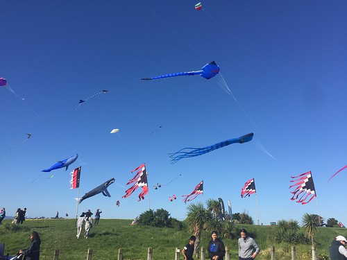 The Manu Aute Kite Day that was held at the Orakei marae featured beautiful kites sending messages up from Earth to the Sky.