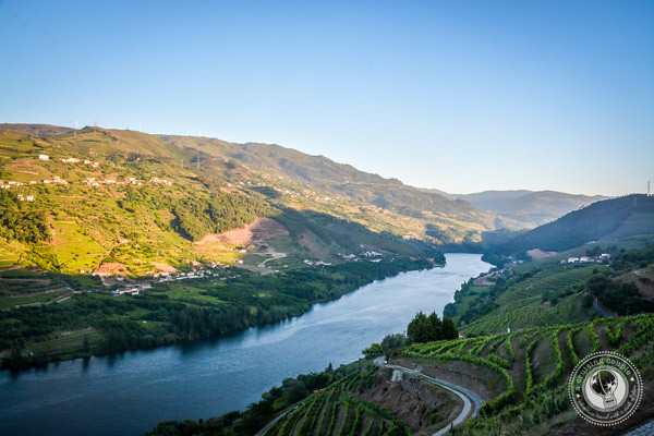 Douro Valley Vineyards Portugal