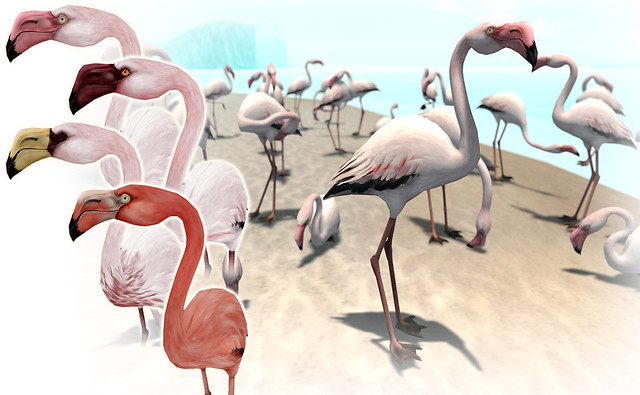 JIAN Flamingos (Summerfest)