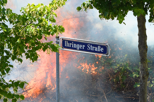 3. Juli 2017. Brand auf dem unbebauten Grundstück Ecke Badenweiler-/Ihringer Straße in Mannheim-Seckenheim ... Feuerwehreinsatz mit drei Löschzügen ... Foto: Brigitte Stolle