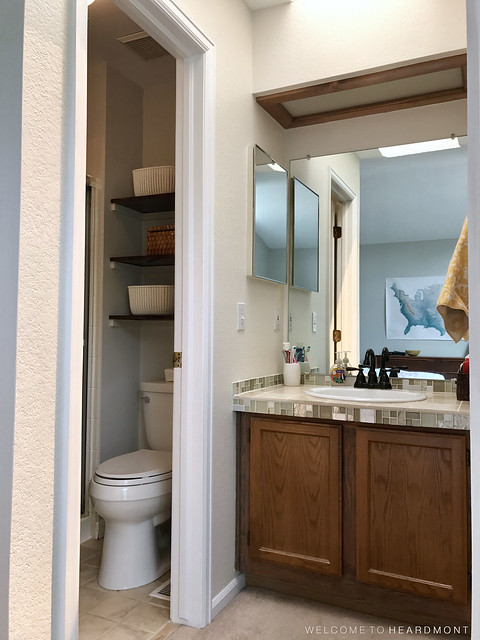 Sink and Toilet Room Before | Welcome to Heardmont