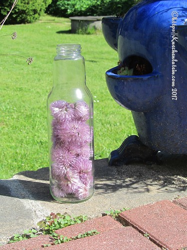 Schnittlauchblüten in Flasche ohne Essig