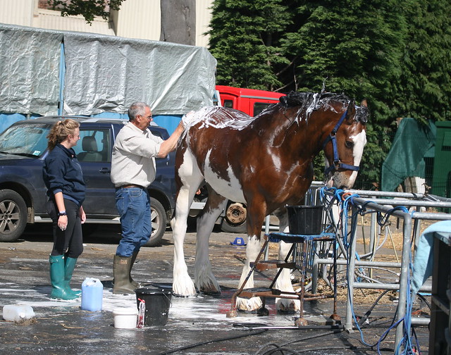 Clydesdale Cleaning