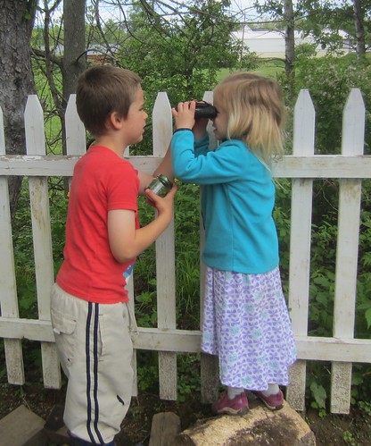 looking through the binoculars