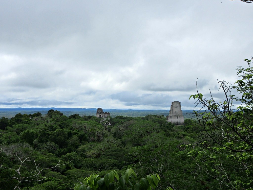 tikal-jungle-pyramids-overlook