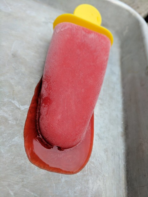 Strawberry and Bitters Ice Pop