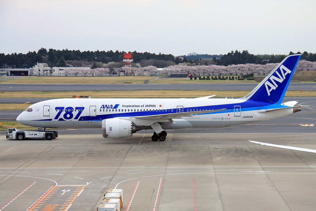 JA804A All Nippon Airways  Boeing 787-8 Dreamliner