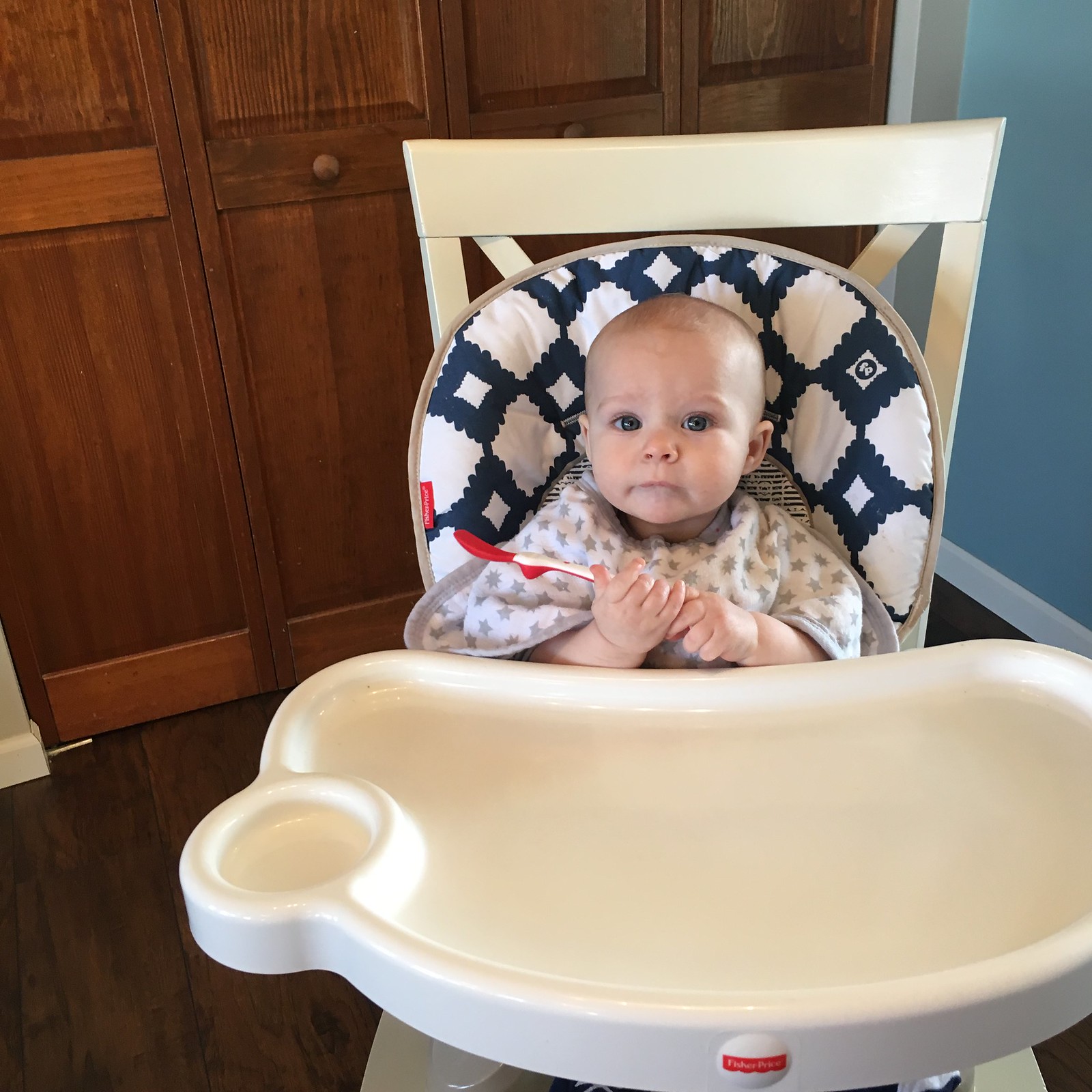 Transitioning to Solids with Earth's Best Organic