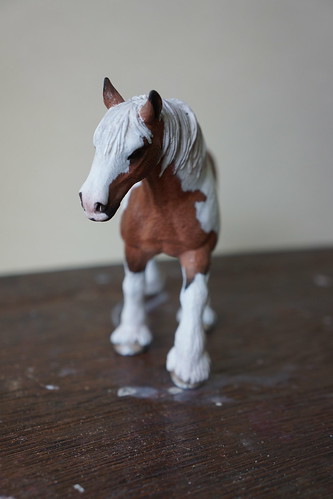 Custom clydesdale