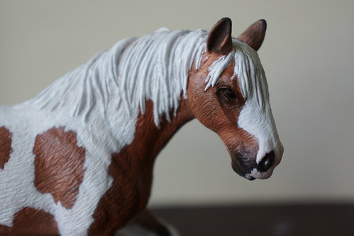 Custom clydesdale