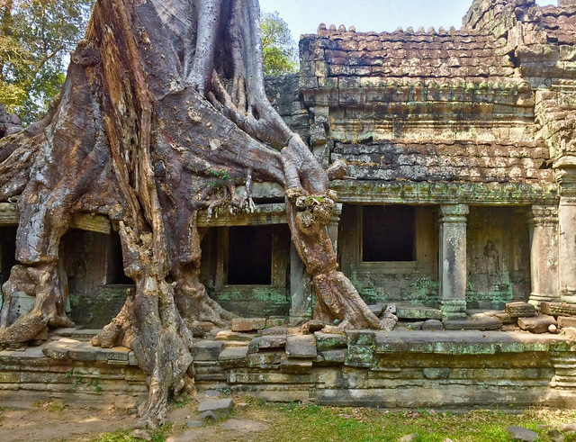 CAMBOYA, NADANDO ENTRE LAS ESTRELLAS - Blogs de Camboya - SIEM REAP Y LOS TEMPLOS DE ANGKOR (3)