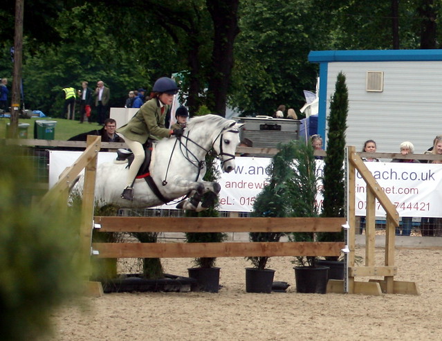 Working Hunter Pony