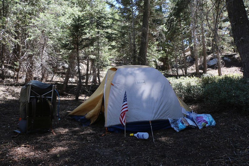 Our tent and camping spot in the pines just west of Gooseberry Meadow on the Fuller Ridge Trail