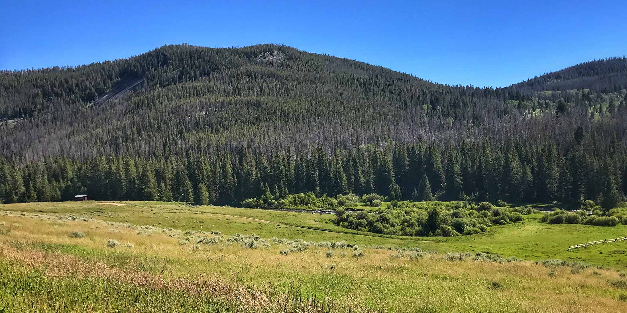 Find all information about Sheep Creek Fishing access located in the Little Belt Mountains, 30 miles from White Sulphur Springs, Montana. 