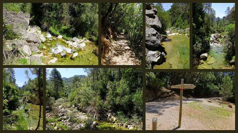 Sierras de Cazorla, Segura y las Villas, Jaén (3). Ruta río Borosa (a pie). - Recorriendo Andalucía. (18)
