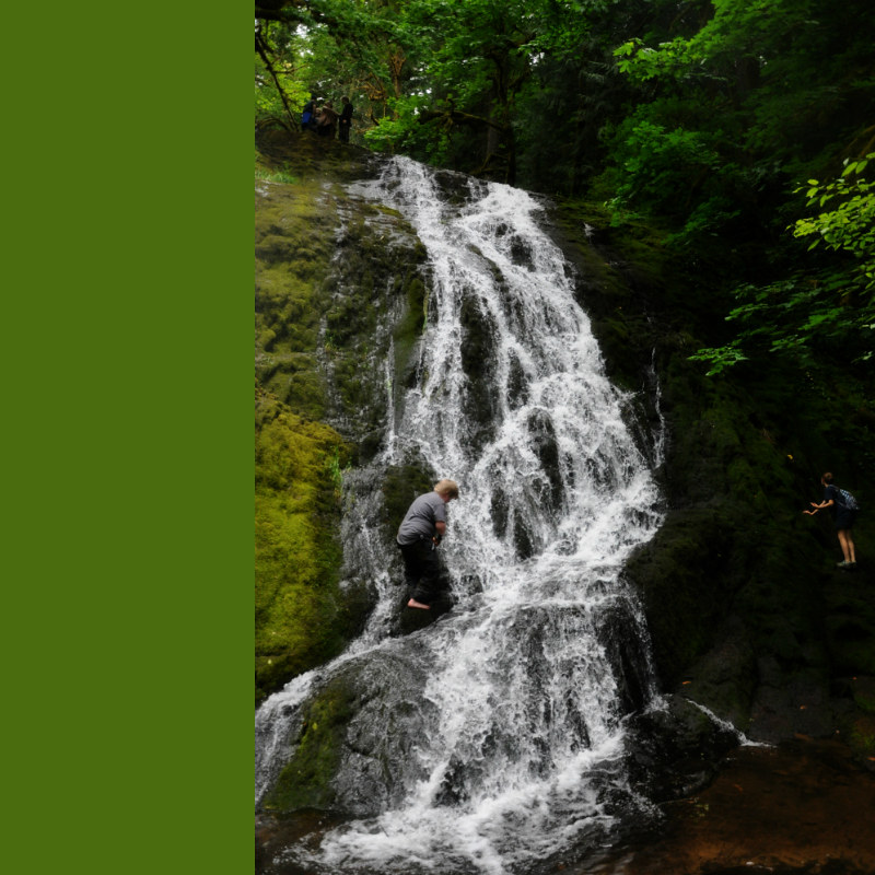 Alsea and Green Peak Climbing the Falls @ Mt. Hope Chronicles