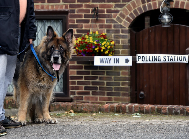 UK: dogs at the polling stations