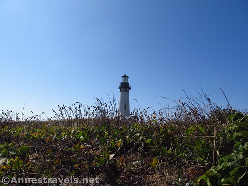 The Yaquina Head Lighthouse near Newport, Oregon. There are some low sandhills near the parking area.