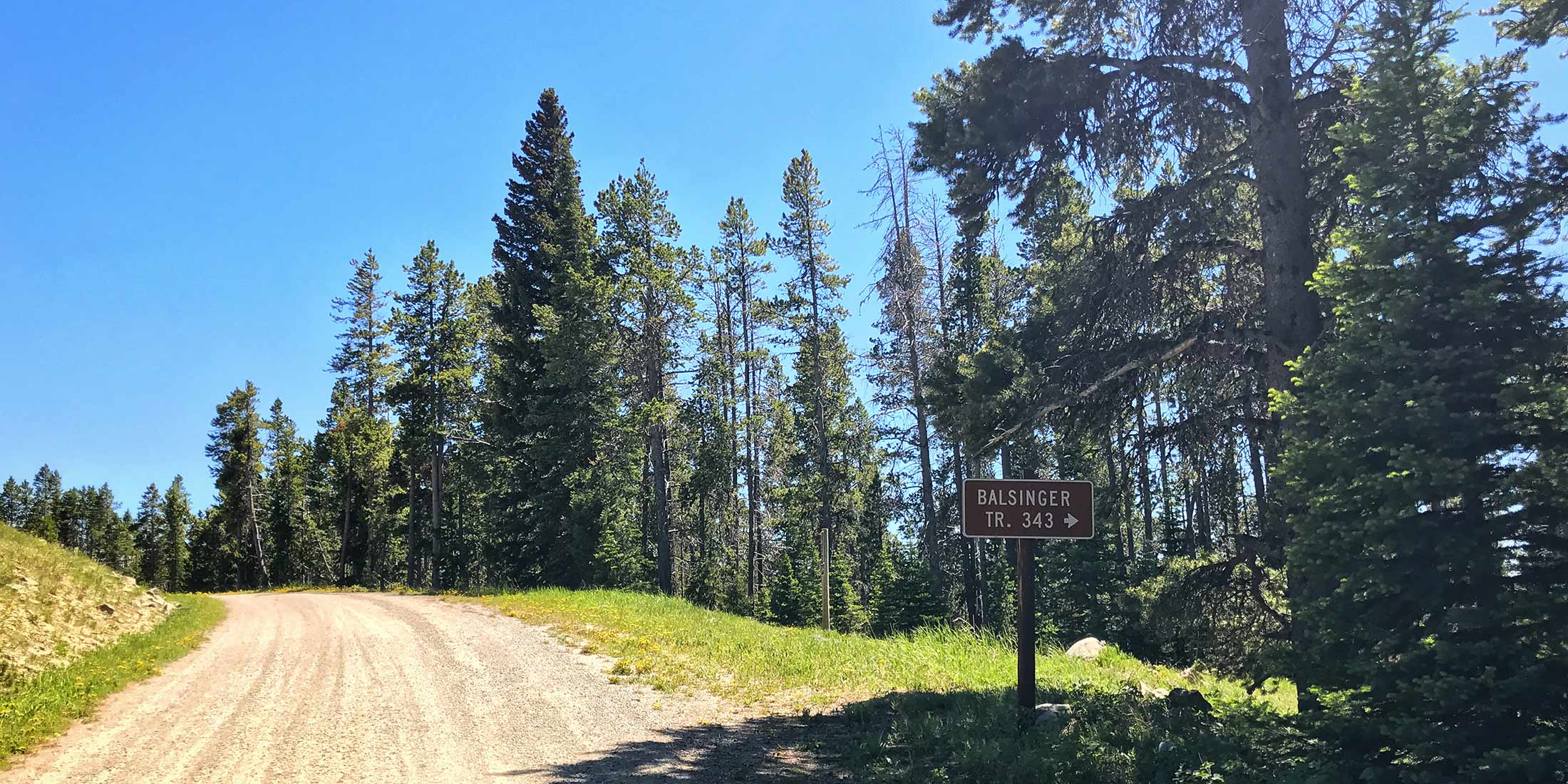 Motorcycle, Horseback trails leading to Taylor Hills and Monument Peak. Located 16.5 miles from Highway 89 on Divide Road in the Little Belt Mountains. 