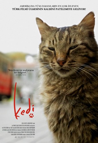 Kedi (2017)