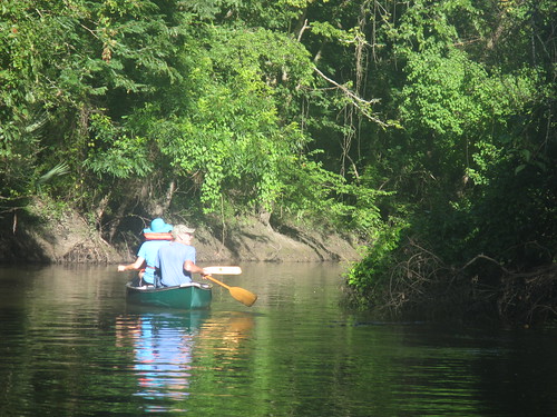 Canoe on the Bayou