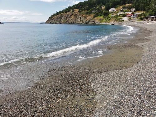 Image shows waves washing up on a gray pebbly beach. In the distance, a forested head becomes sheer rocky cliff at the water's edge. Houses march down its gentler slopes to the beach.