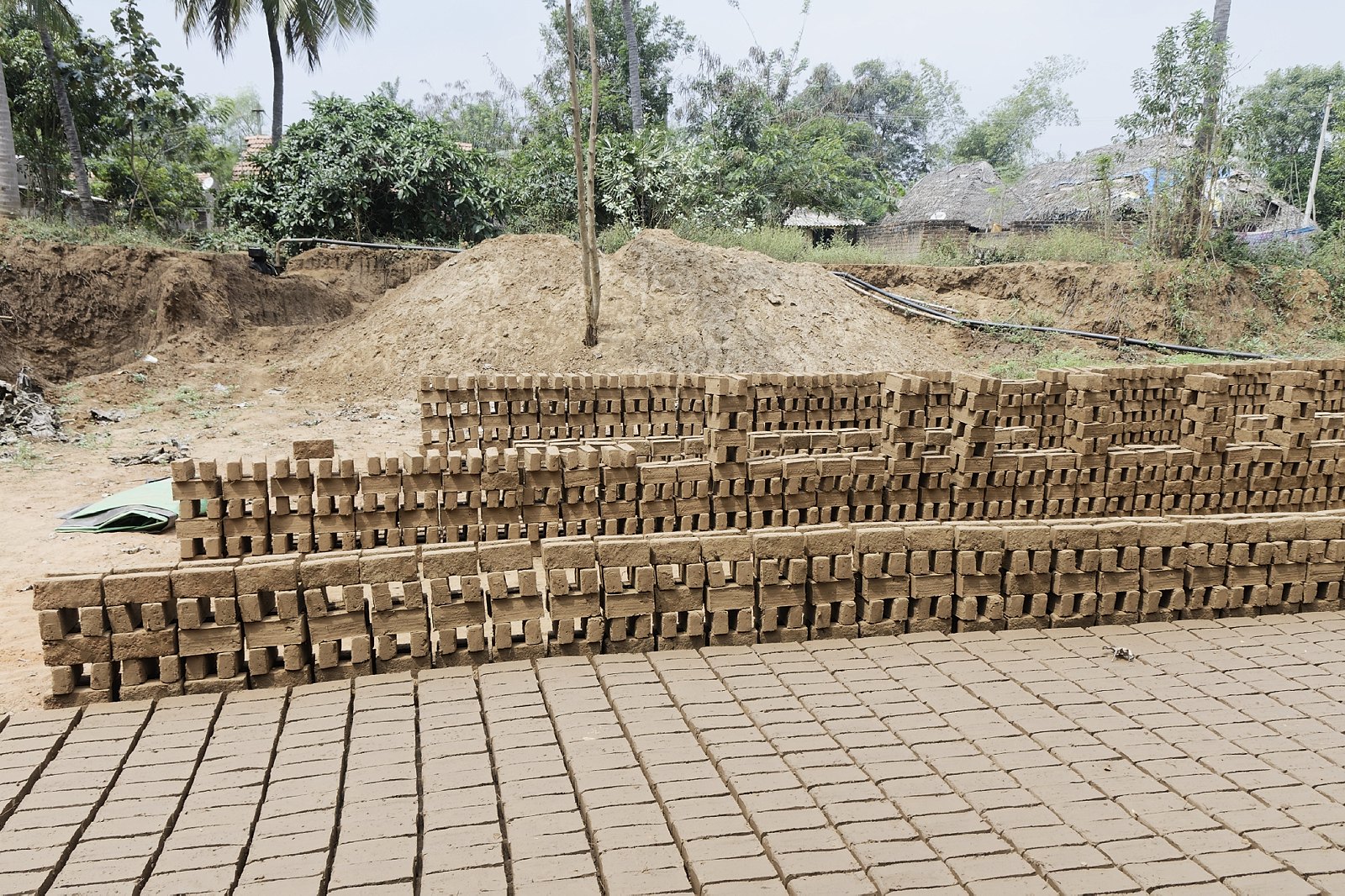 Briques en train de sécher
