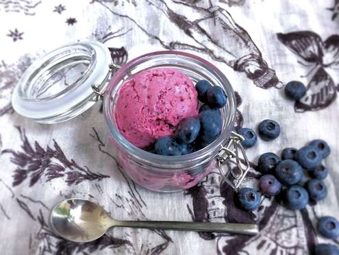 bluebery frozen yoghurt
